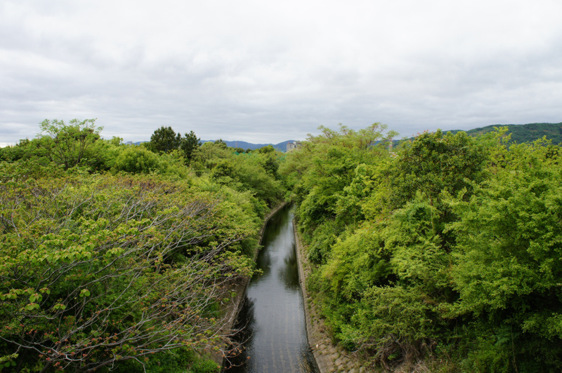 5月15日 きょうは何の日 1878年 デ レーケの助言で穂谷川の流れを変える でんごんばん 枚方つーしん