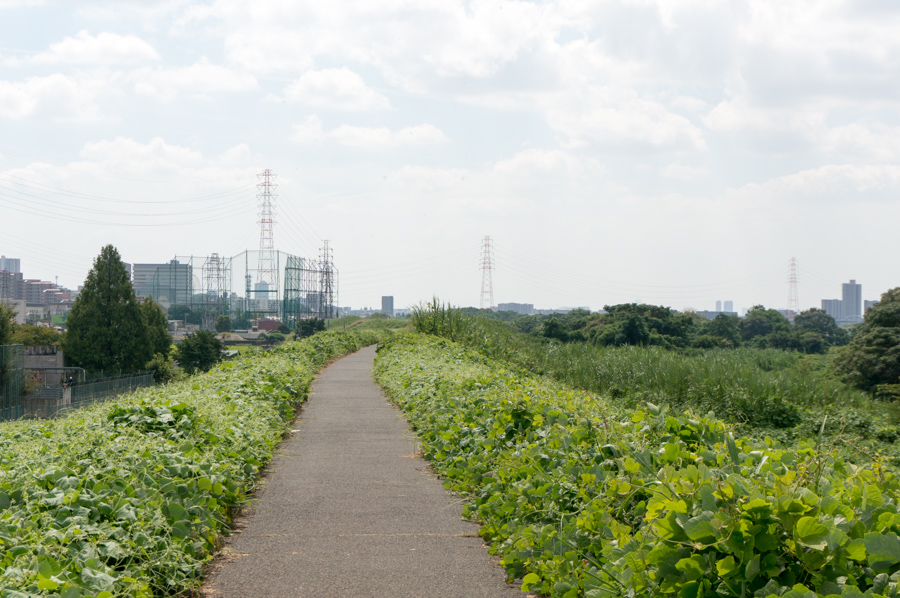 9月18日 きょうは何の日 1870年 淀川堤防決壊し 被害があった楠葉 渚両村に堺県から救助米が支給される でんごんばん 枚方つーしん