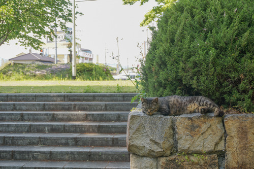 山田池公園バーベキュー-1