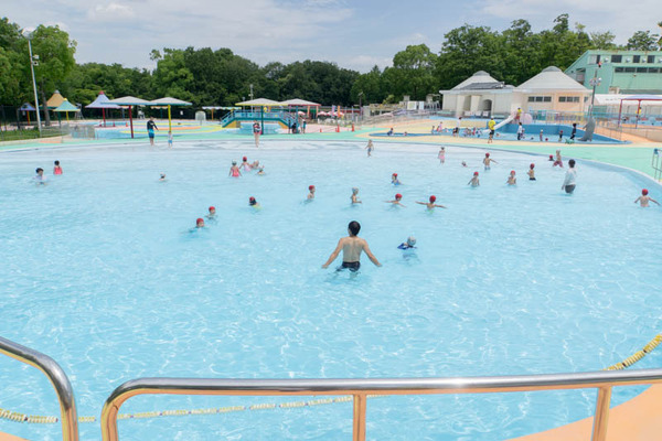 王仁公園プール ワニプール 特集 どんなプール 料金は 駐車場は 実際に見に行って徹底攻略 ひらつーまとめ 枚方つーしん