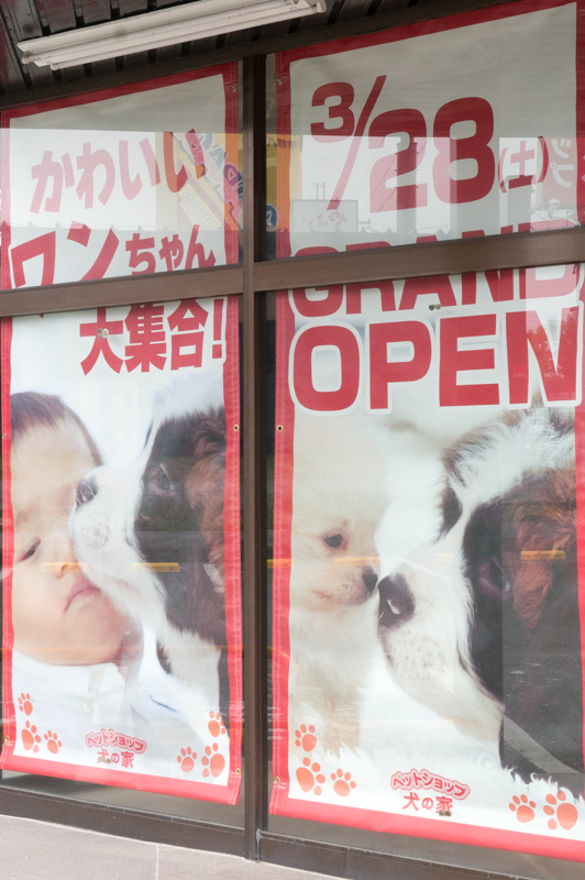 1号線ぞい八幡に 犬の家 ってペットショップができるみたい 3月28日オープン 枚方つーしん