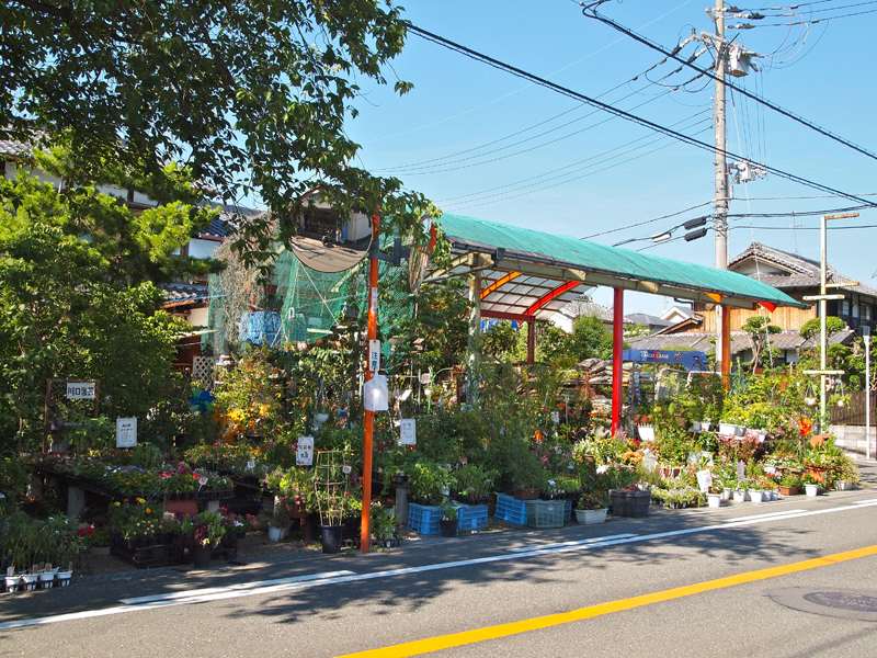 川口園芸 川口樹木医事務所 枚方市楠葉野田 園芸店 お店みせて 枚方つーしん